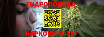 гашик Партизанск