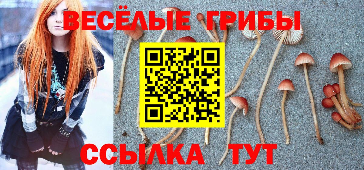 закладка  Вход с VPN  Соль-Илецк  Псилоцибиновые грибы Psilocybe 